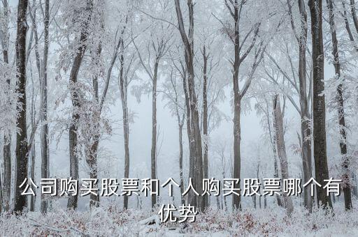  公司購(gòu)買(mǎi)股票和個(gè)人購(gòu)買(mǎi)股票哪個(gè)有優(yōu)勢(shì)