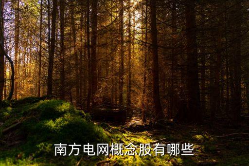 南方電網概念股有哪些