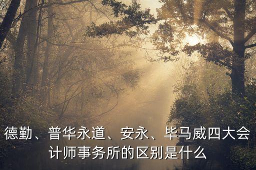 德勤、普華永道、安永、畢馬威四大會計師事務(wù)所的區(qū)別是什么