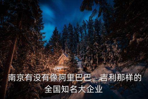  南京有沒(méi)有像阿里巴巴、吉利那樣的全國(guó)知名大企業(yè)