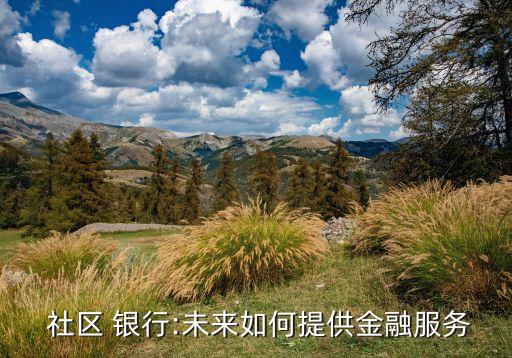  社區(qū) 銀行:未來如何提供金融服務