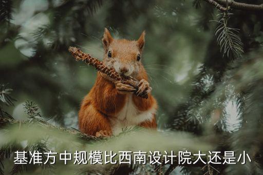  基準方中規(guī)模比西南設計院大還是小