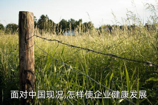 聯(lián)想集團現(xiàn)狀