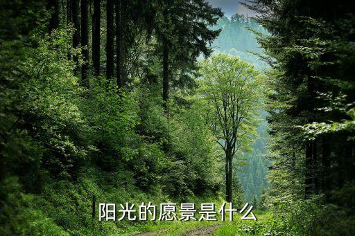 江蘇陽光集團董事長,陳麗芬江蘇陽光集團董事長