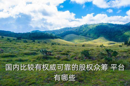 國內比較有權威可靠的股權眾籌 平臺有哪些