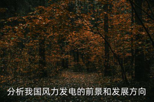 分析我國風力發(fā)電的前景和發(fā)展方向
