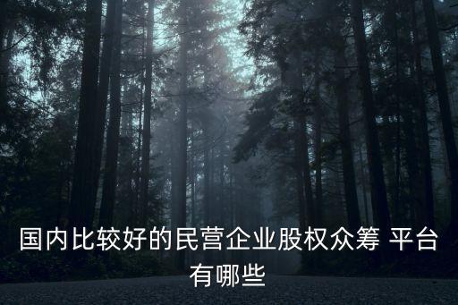 國內比較好的民營企業(yè)股權眾籌 平臺有哪些