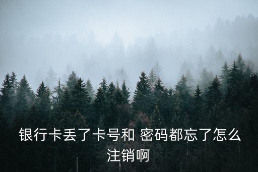 銀行賬戶忘記密碼能銷戶嗎,社?？ㄣy行賬戶忘記密碼怎么辦