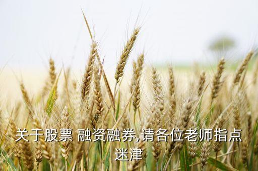 關(guān)于股票 融資融券,請(qǐng)各位老師指點(diǎn)迷津