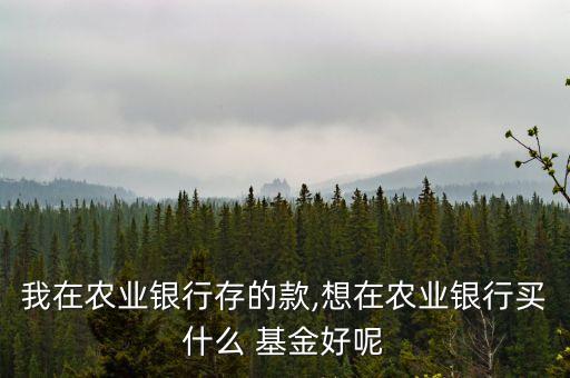 我在農業(yè)銀行存的款,想在農業(yè)銀行買什么 基金好呢