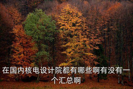 在國內(nèi)核電設計院都有哪些啊有沒有一個匯總啊
