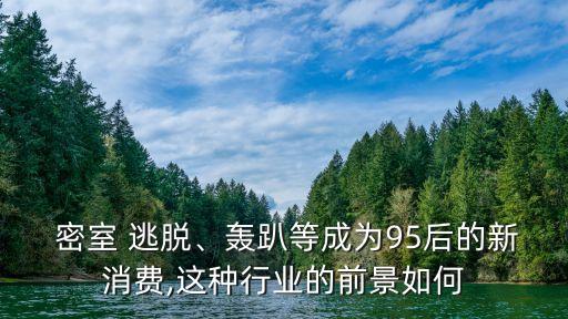  密室 逃脫、轟趴等成為95后的新消費,這種行業(yè)的前景如何