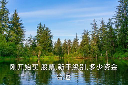 剛開(kāi)始買(mǎi) 股票,新手級(jí)別,多少資金合適