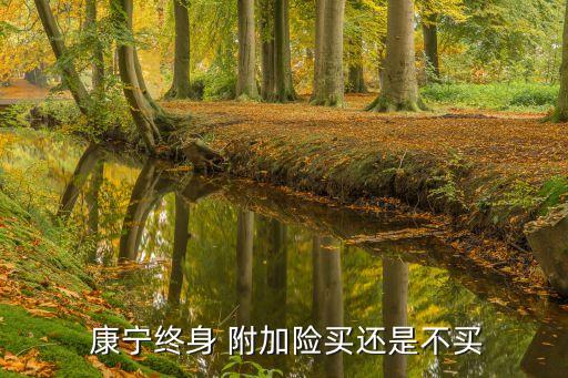  康寧終身 附加險買還是不買
