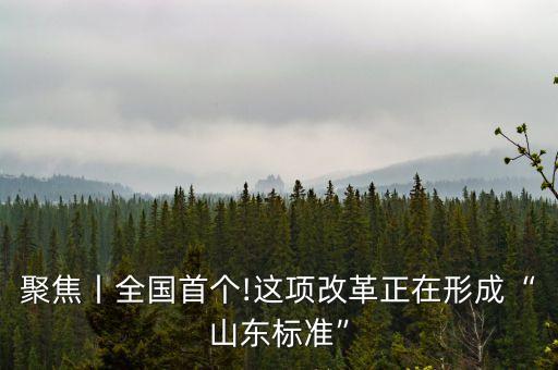 聚焦丨全國首個!這項改革正在形成“山東標(biāo)準(zhǔn)”