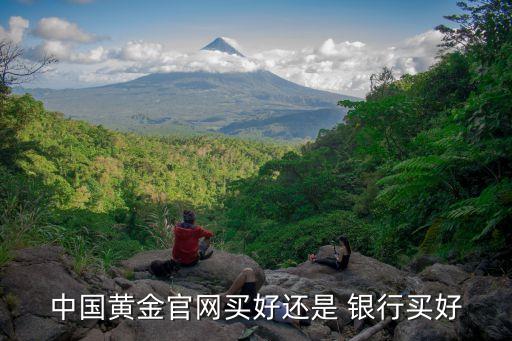 中國(guó)黃金官網(wǎng)買(mǎi)好還是 銀行買(mǎi)好