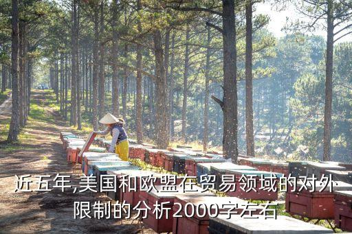 近五年,美國和歐盟在貿(mào)易領(lǐng)域的對(duì)外限制的分析2000字左右