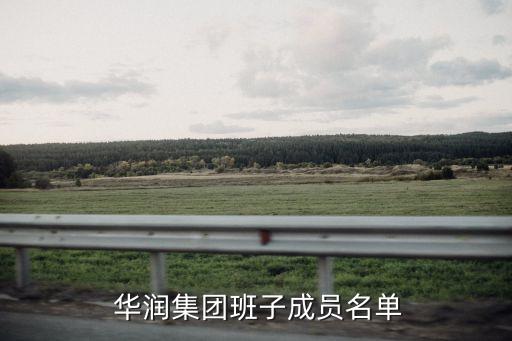 華潤投資助理總經理,華潤資本投資部總經理