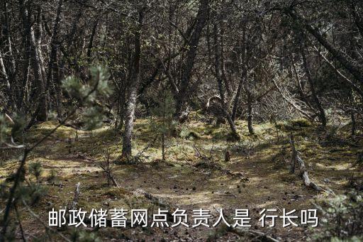  郵政儲(chǔ)蓄網(wǎng)點(diǎn)負(fù)責(zé)人是 行長嗎