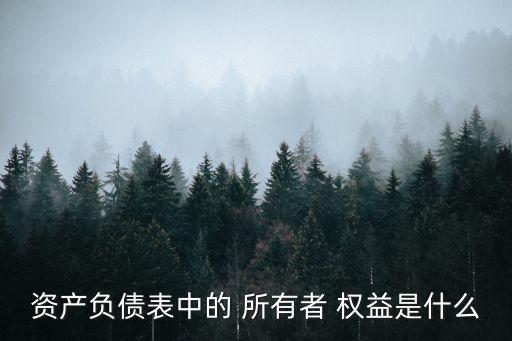 資產(chǎn)負債表中的 所有者 權益是什么