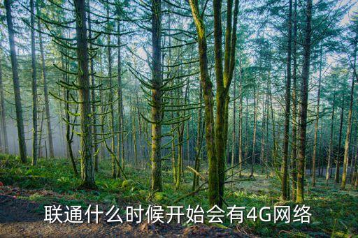 中國(guó)聯(lián)通獲得4g時(shí)間
