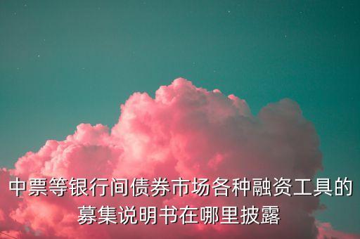 中票等銀行間債券市場(chǎng)各種融資工具的募集說(shuō)明書(shū)在哪里披露