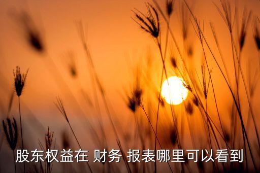 股東權(quán)益在 財務 報表哪里可以看到