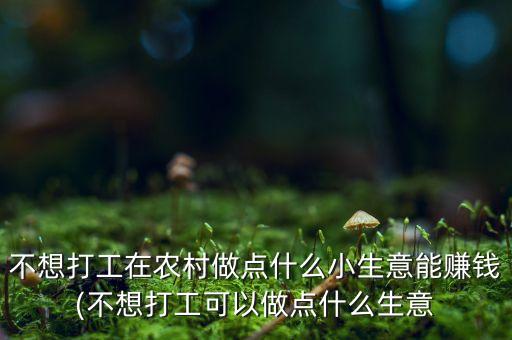 不想打工在農(nóng)村做點(diǎn)什么小生意能賺錢(qián)(不想打工可以做點(diǎn)什么生意