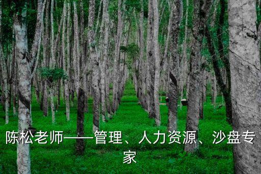 陳松老師——管理、人力資源、沙盤專家