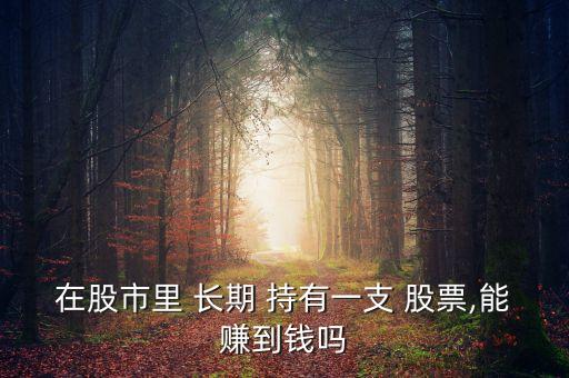 在股市里 長(zhǎng)期 持有一支 股票,能賺到錢嗎