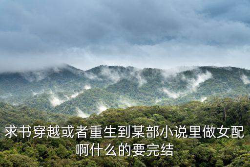 求書(shū)穿越或者重生到某部小說(shuō)里做女配啊什么的要完結(jié)