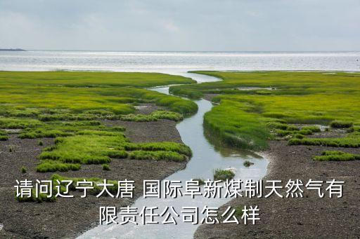 請(qǐng)問遼寧大唐 國際阜新煤制天然氣有限責(zé)任公司怎么樣
