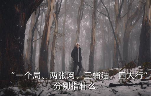 “一個局、兩張網(wǎng)、三桶油、四大行”分別指什么