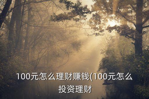 100元怎么理財(cái)賺錢(qián)(100元怎么 投資理財(cái)