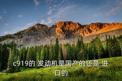 c919的 發(fā)動(dòng)機(jī)是國(guó)產(chǎn)的還是 進(jìn)口的