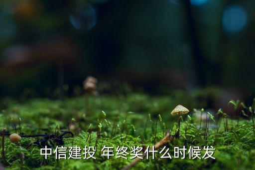 證券公司什么時(shí)候發(fā)年終獎,2022年證券公司年終獎發(fā)了嗎