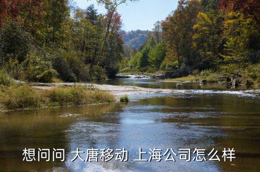 想問問 大唐移動 上海公司怎么樣