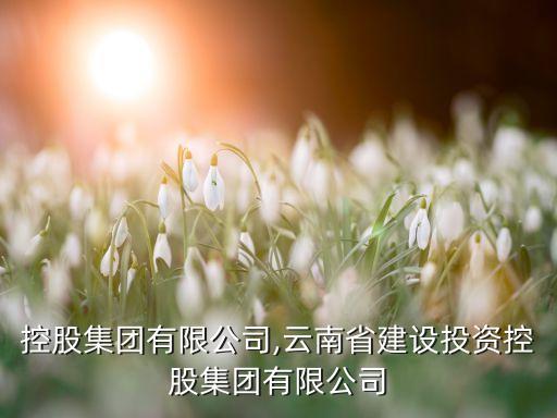 天陽控股集團有限公司,云南省建設投資控股集團有限公司