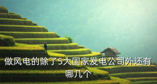 做風電的除了5大國家發(fā)電公司外還有哪幾個