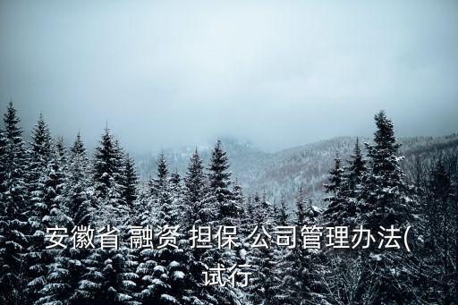 關(guān)于開展融資性擔(dān)保公司規(guī)范工作的意見(jiàn)