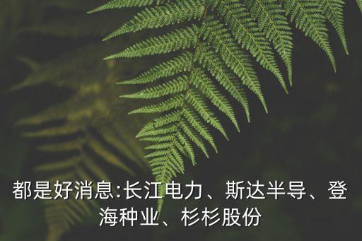 都是好消息:長江電力、斯達(dá)半導(dǎo)、登海種業(yè)、杉杉股份