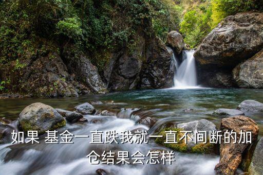 如果 基金一直跌我就一直不間斷的加倉結(jié)果會怎樣