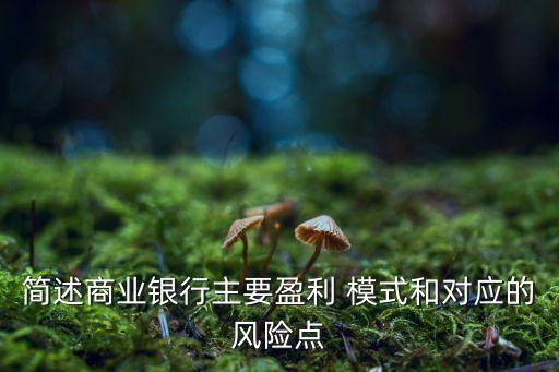 簡述商業(yè)銀行主要盈利 模式和對應(yīng)的風(fēng)險點