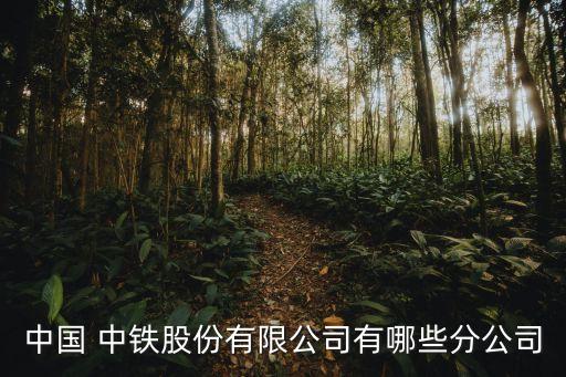 中國(guó) 中鐵股份有限公司有哪些分公司