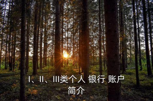 I、II、III類個人 銀行 賬戶簡介