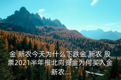 金 新農今天為什么下跌金 新農 股票2021半年報北向資金為何買入金 新農...