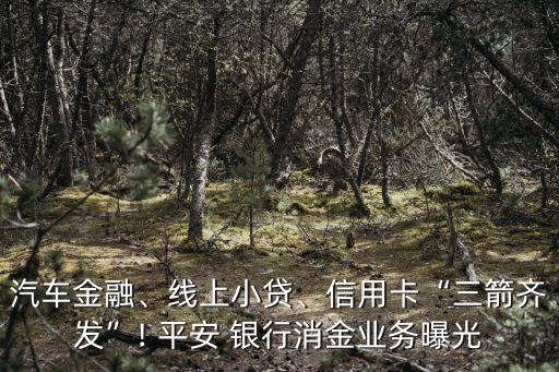 汽車金融、線上小貸、信用卡“三箭齊發(fā)”! 平安 銀行消金業(yè)務曝光