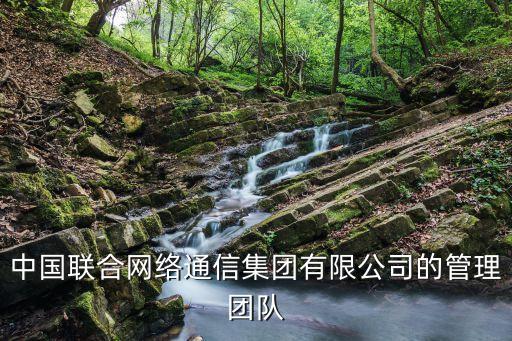 中國聯(lián)合網絡通信集團有限公司的管理團隊