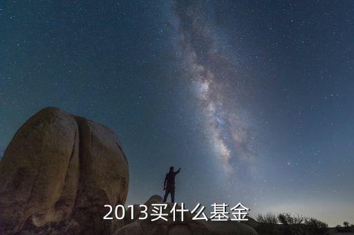 2013買(mǎi)什么基金