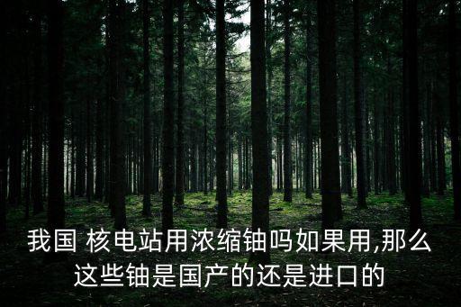 我國 核電站用濃縮鈾嗎如果用,那么這些鈾是國產(chǎn)的還是進口的